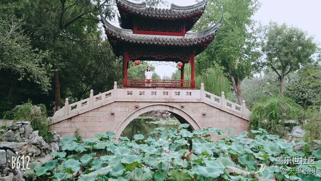 于公子的大觀園游記