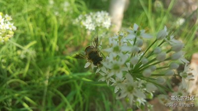 《色彩》+辛勤勞動