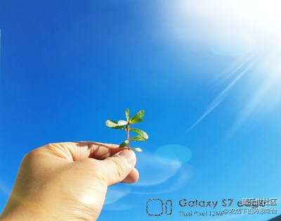 喜歡藍(lán)藍(lán)的天