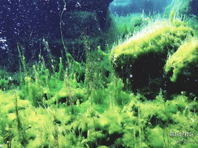 整理幾張s7 edge，s8+，n7隨拍