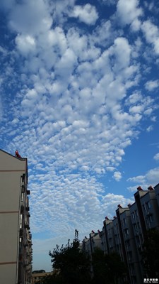 色彩》+秋