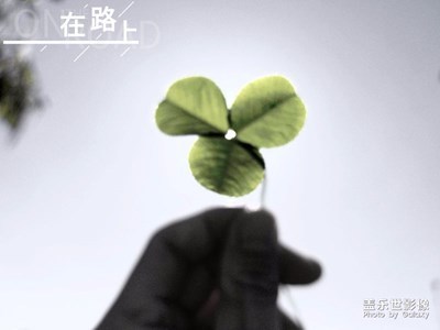 試試s8的圖片編輯