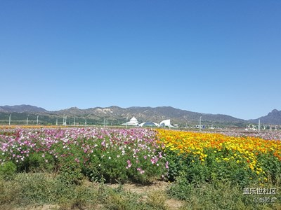 呼和塔拉萬畝草場