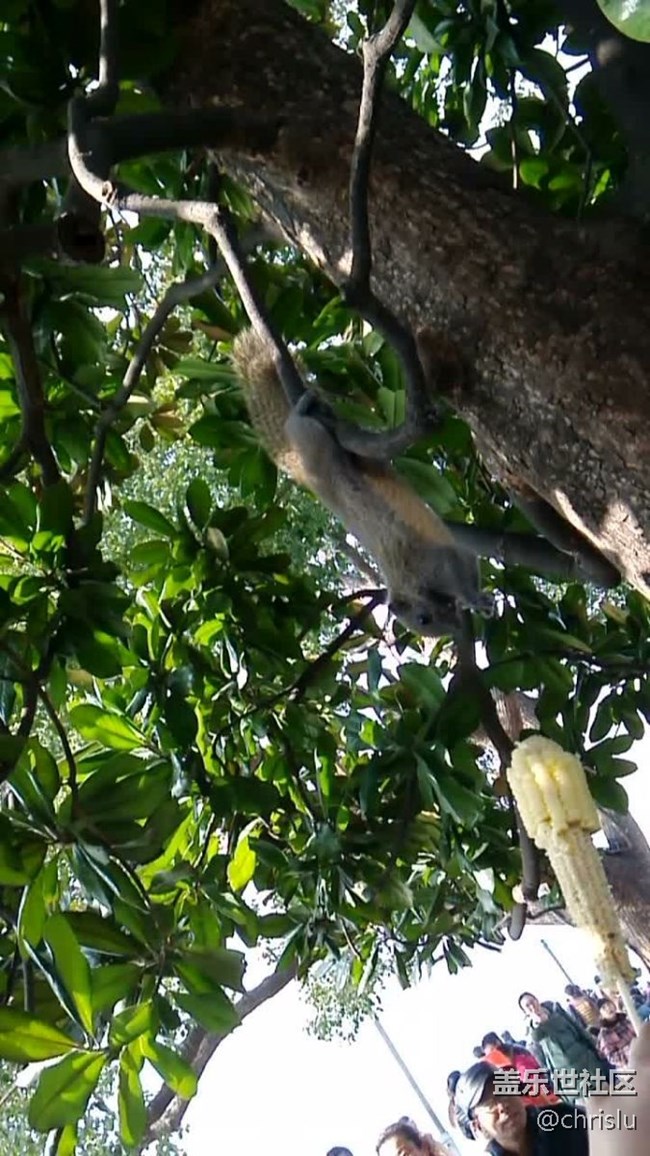 虹膜識(shí)別 啟動(dòng)速度 延遲