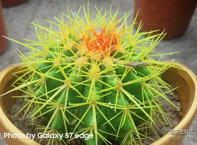 立體畫(huà)美不勝收