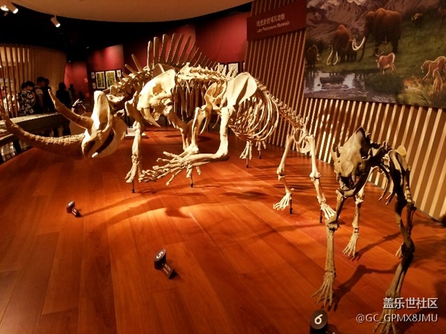 上海星部落 走進自然博物館