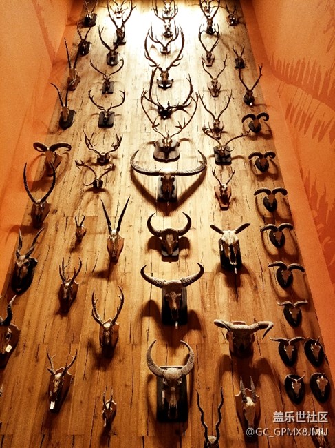 上海星部落 走進自然博物館