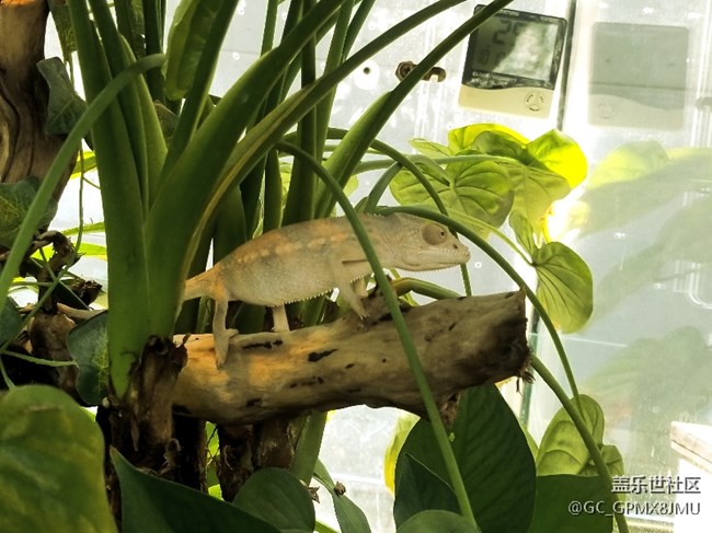 上海星部落 走進自然博物館