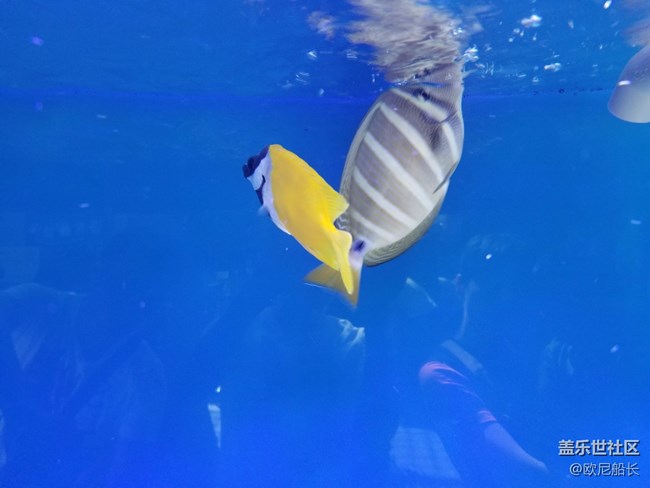 上海星部落·走進自然博物館