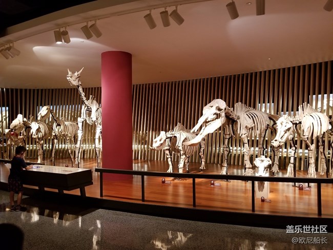 上海星部落·走進自然博物館