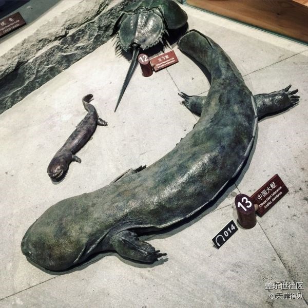 于公子帶你走進(jìn)上海自然博物館