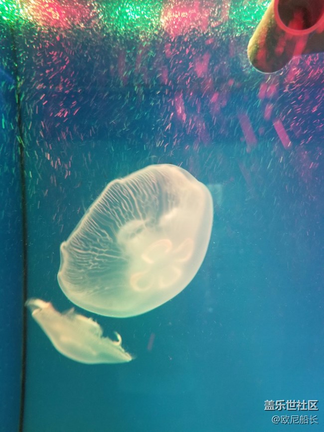 上海星部落·走進自然博物館