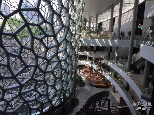 于公子帶你走進(jìn)上海自然博物館