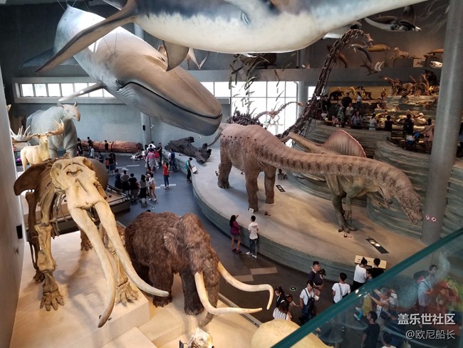 上海星部落·走進自然博物館