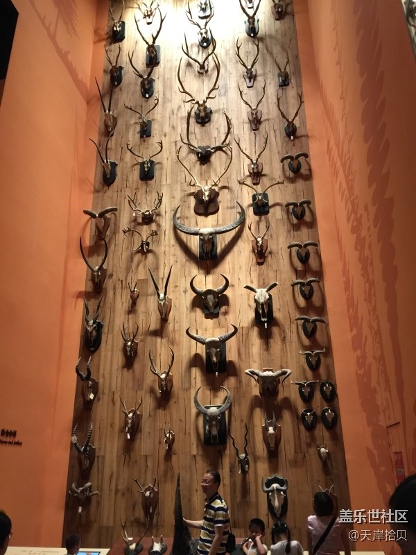 于公子帶你走進(jìn)上海自然博物館