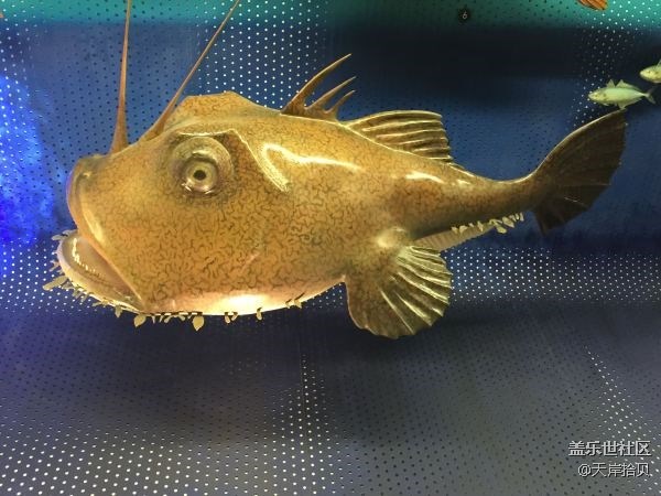 于公子帶你走進(jìn)上海自然博物館