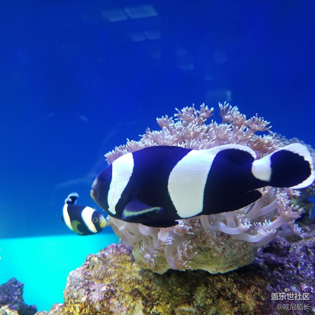 上海星部落·走進自然博物館