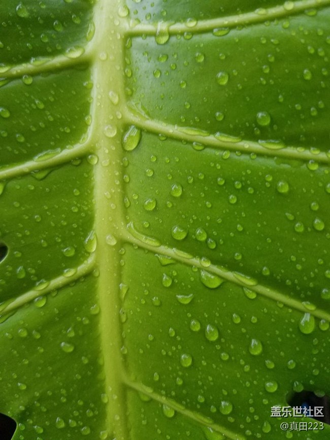 一個(gè)經(jīng)典設(shè)計(jì)的自我修養(yǎng)！三星領(lǐng)世8：重塑奢華，鑄就不凡