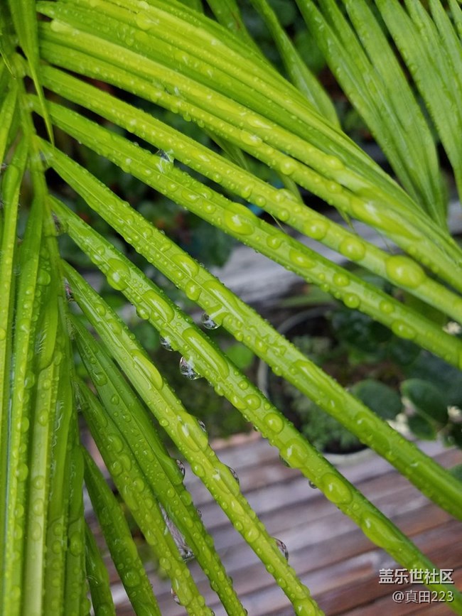 一個(gè)經(jīng)典設(shè)計(jì)的自我修養(yǎng)！三星領(lǐng)世8：重塑奢華，鑄就不凡