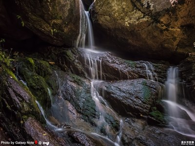 三星蓋樂世 Note8 上手試拍（三）