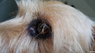 看我們這眼線畫的如何？