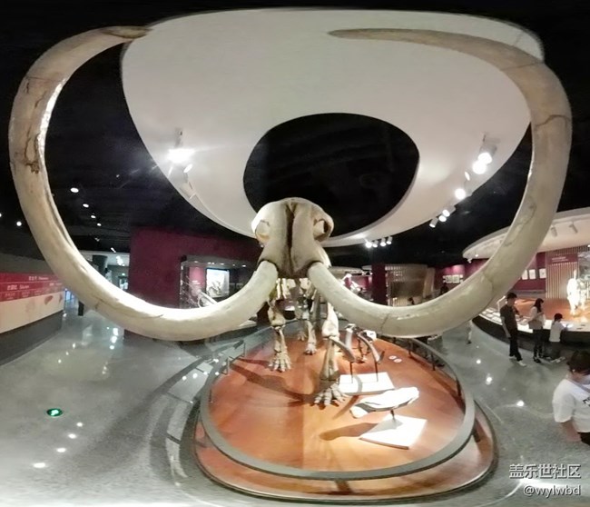 上海星部落-走進(jìn)自然博物館