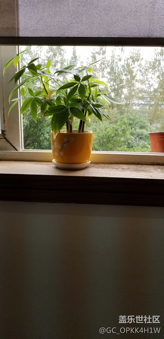 s8相機問題，誰能幫忙看一下