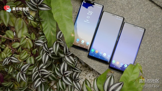 讓大事盡在掌握！三星蓋樂世 Note8國行三色美圖賞