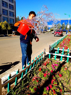 小區(qū)路邊花欄