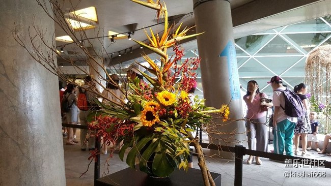 再發(fā)一波照片