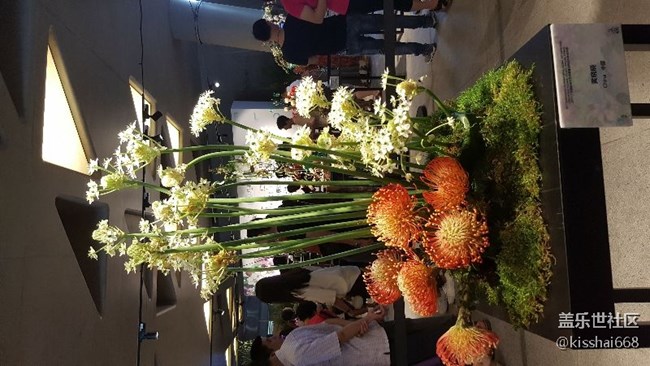 再發(fā)一波照片