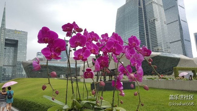 再發(fā)一波照片