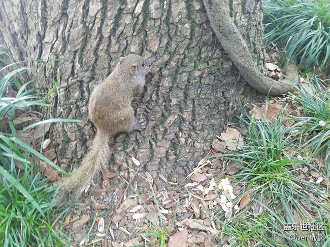 三星NOTE5、S7edge、S8+皇帝版隨手拍風(fēng)景分享