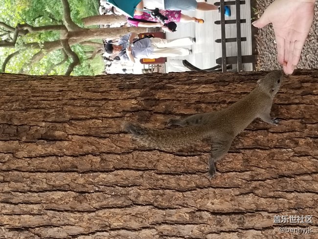 三星NOTE5、S7edge、S8+皇帝版隨手拍風(fēng)景分享