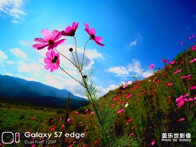 每周精帖匯【第73期：這個(gè)十一長假你怎么過的？】