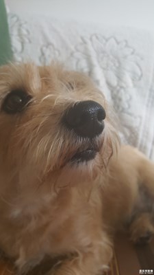 我這傲嬌的氣質(zhì)，只賣呆萌的表情