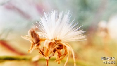 《秋天的故事》+果--葉知秋