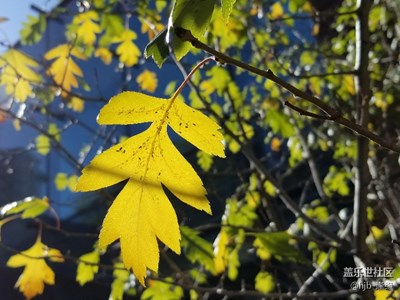 十一假期團圓記+跟我來賞秋