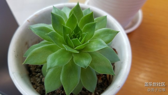 社區(qū)重慶星部落三星Note8品鑒活動