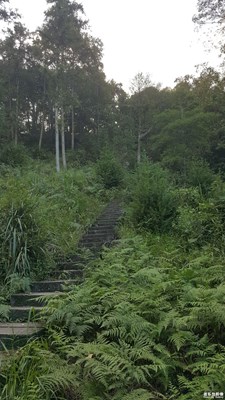 十一假期團(tuán)圓季+老家中秋風(fēng)景