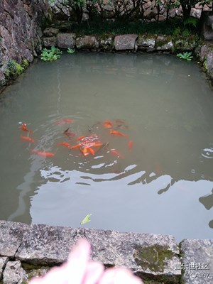 《吃喝玩樂》+玩在山溝