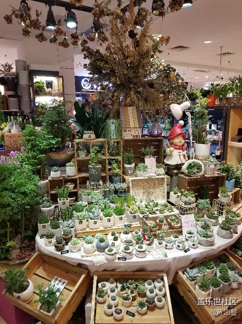 中秋花城廣場(chǎng)隨拍（無P圖無濾鏡渣操）