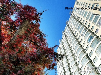 小區(qū)里面隨手拍圖