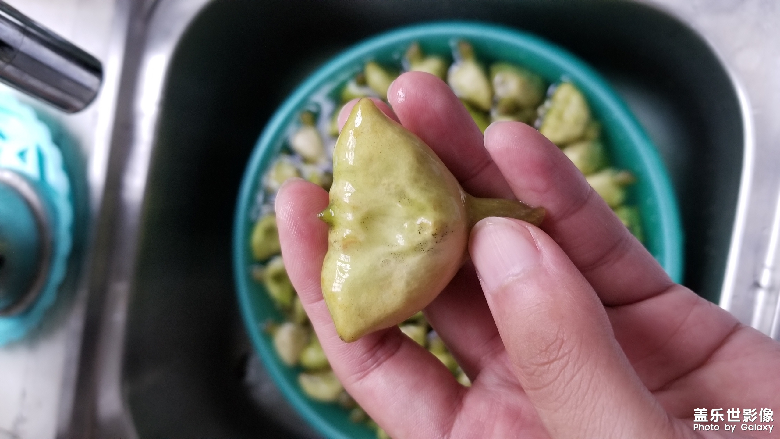 猜猜這個是什么