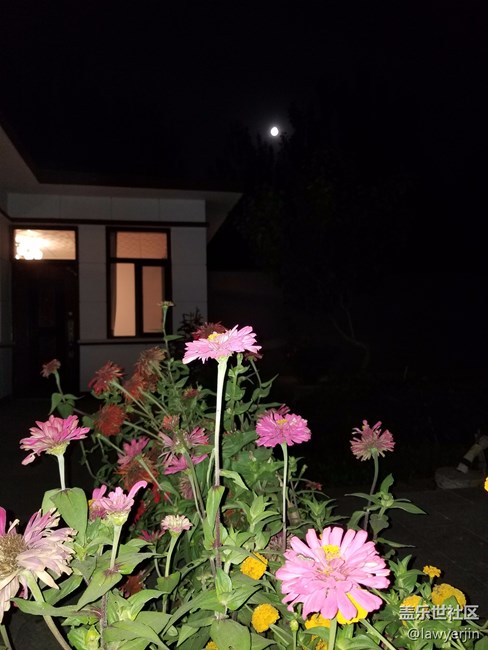 note8拍照真的很不錯(cuò)