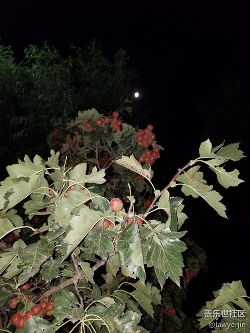 note8拍照真的很不錯(cuò)