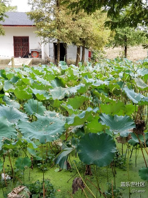 note8拍背景虛化必須進(jìn)入實(shí)時(shí)對(duì)焦*2，必須1.2米嗎？