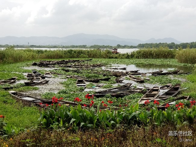 note8拍背景虛化必須進(jìn)入實(shí)時(shí)對(duì)焦*2，必須1.2米嗎？