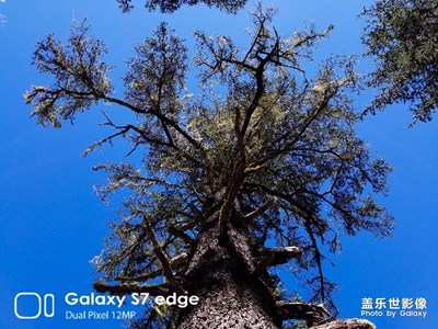 稻城亞丁