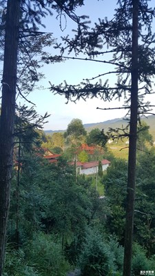 十一假期團(tuán)圓季+此時(shí)的風(fēng)景